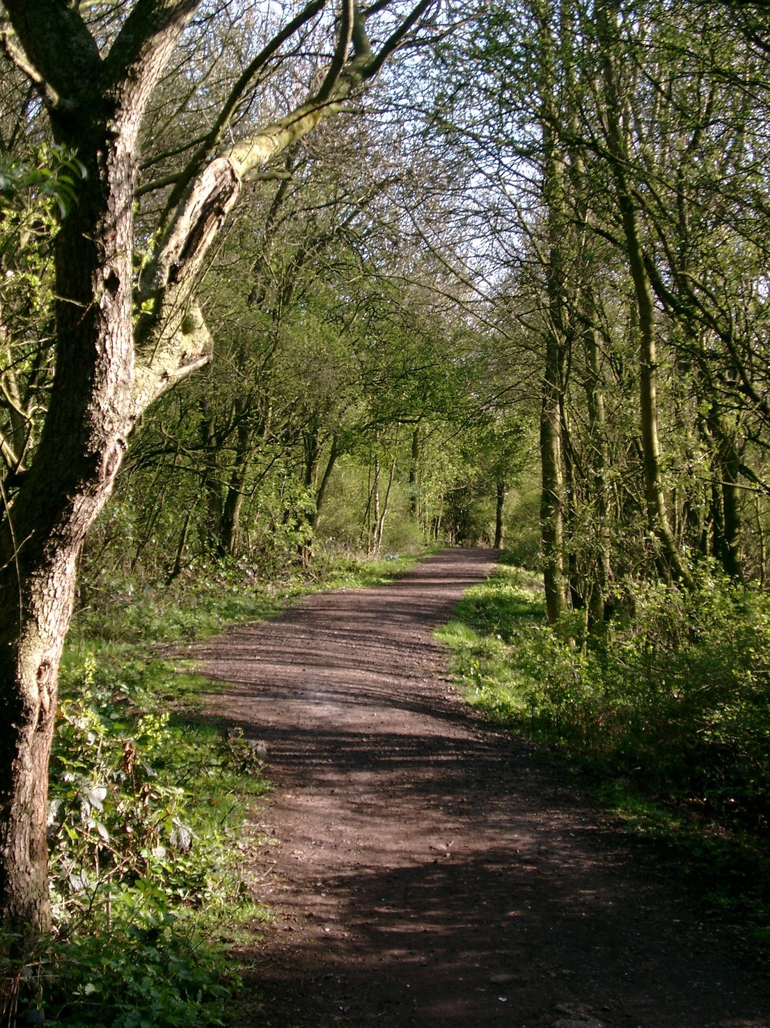 imgp0021